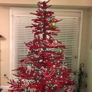 Meet your Posher, Lynn